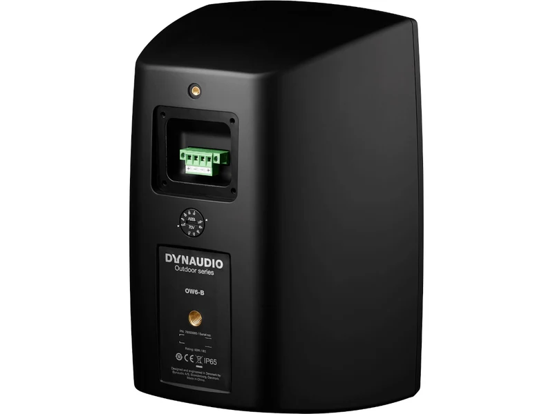 DYNAUDIO OW-6 (la paire)