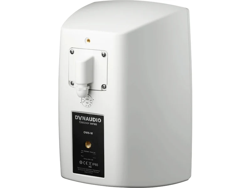 DYNAUDIO OW-6 (la paire)