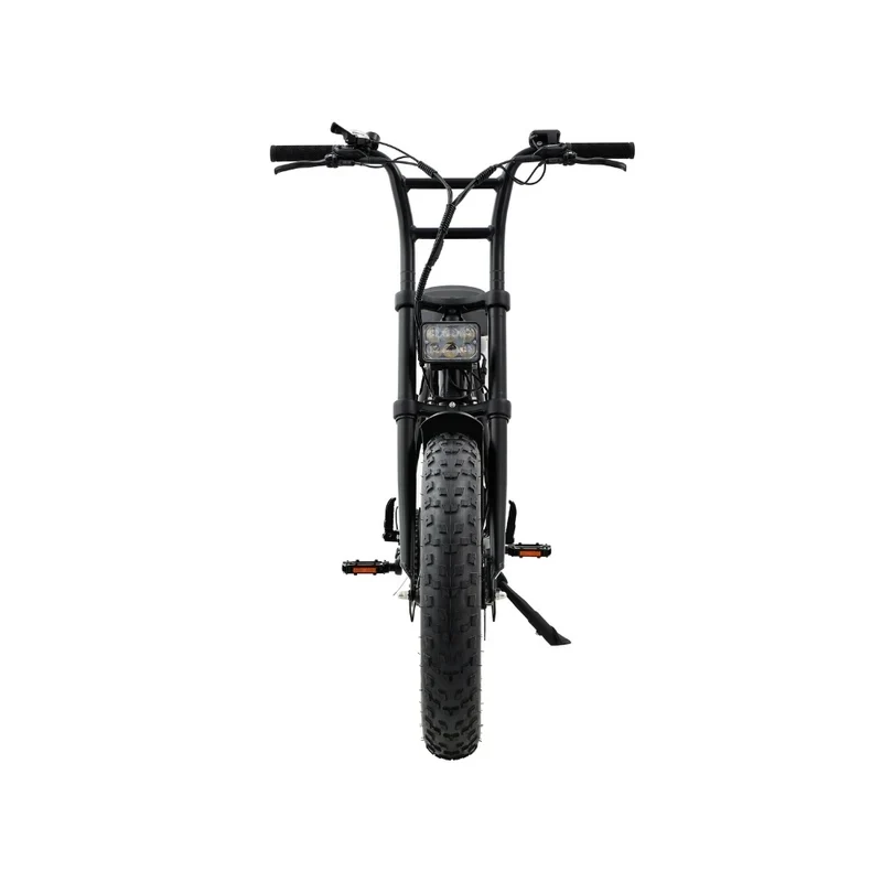 Grandeux Xplore - Fatbike cargo biplace électrique à gros pneus