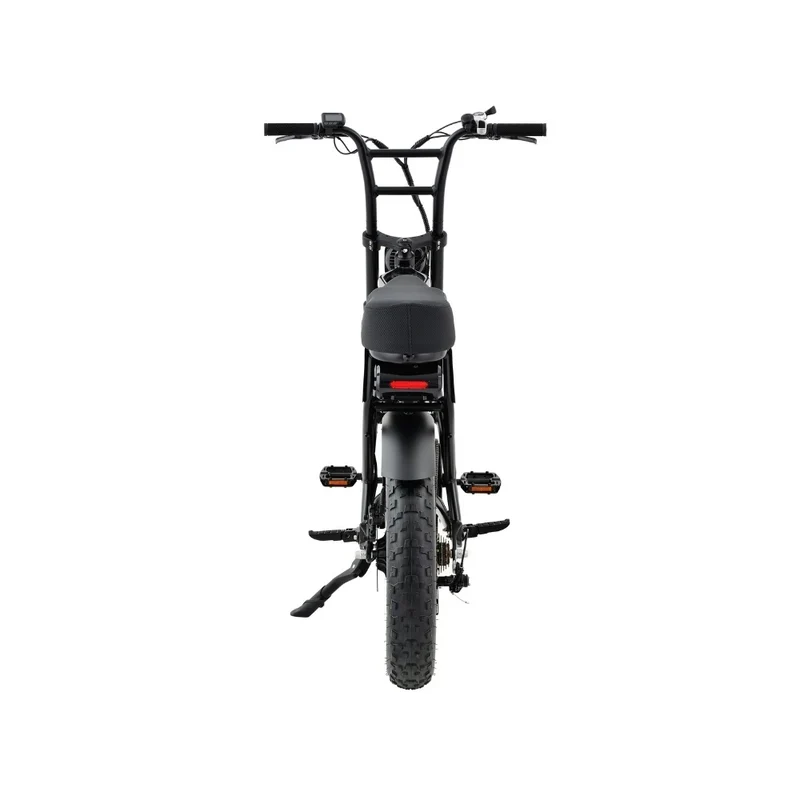 Grandeux Xplore - Fatbike cargo biplace électrique à gros pneus