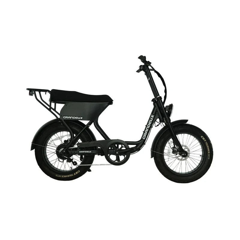 Grandeux Xcite Pro - Vélo électrique cargo biplace à gros pneus