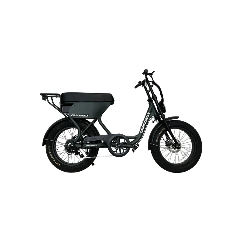 Grandeux Xcite Pro - Vélo électrique cargo biplace à gros pneus