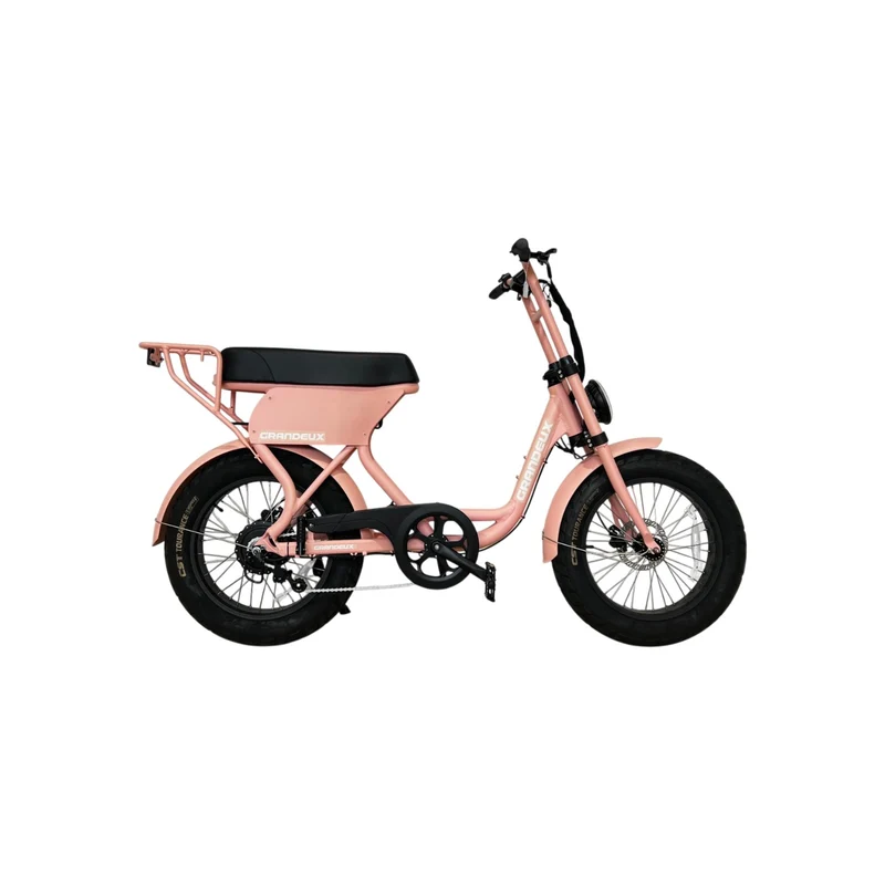 Grandeux Xcite Pro - Vélo électrique cargo biplace à gros pneus