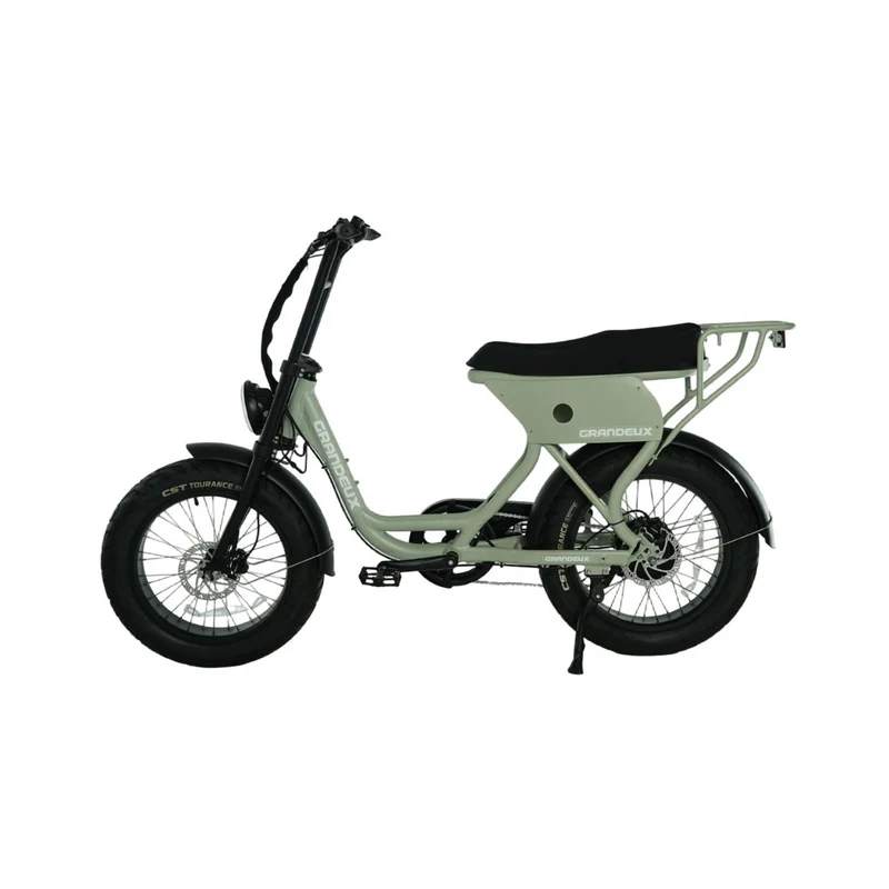 Grandeux Xcite Pro - Vélo électrique cargo biplace à gros pneus