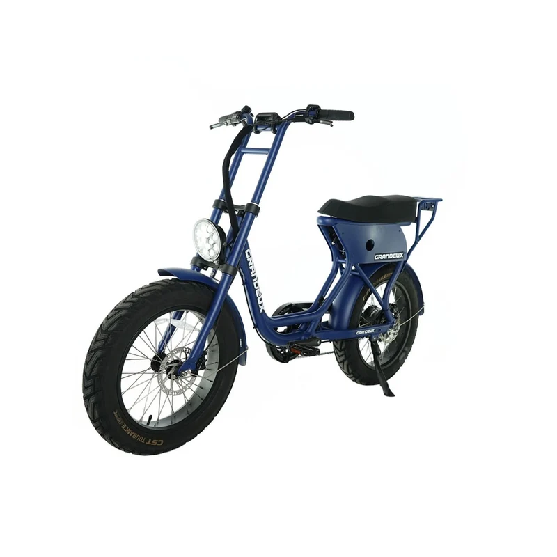 Grandeux Xcite Pro - Vélo électrique cargo biplace à gros pneus
