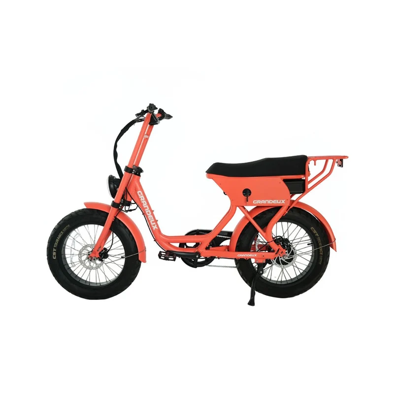 Grandeux Xcite Pro - Vélo électrique cargo biplace à gros pneus