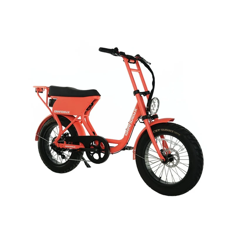 Grandeux Xcite Pro - Vélo électrique cargo biplace à gros pneus
