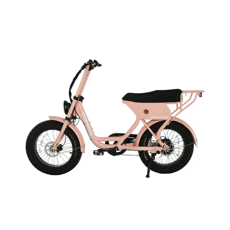 Grandeux Xcite Pro - Vélo électrique cargo biplace à gros pneus