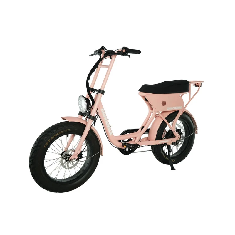 Grandeux Xcite Pro - Vélo électrique cargo biplace à gros pneus
