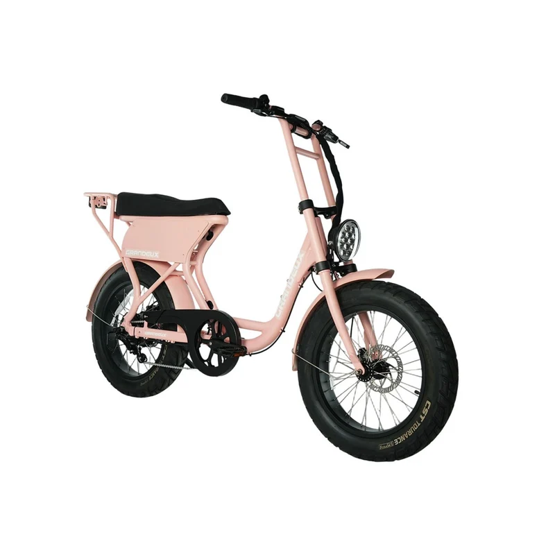 Grandeux Xcite Pro - Vélo électrique cargo biplace à gros pneus