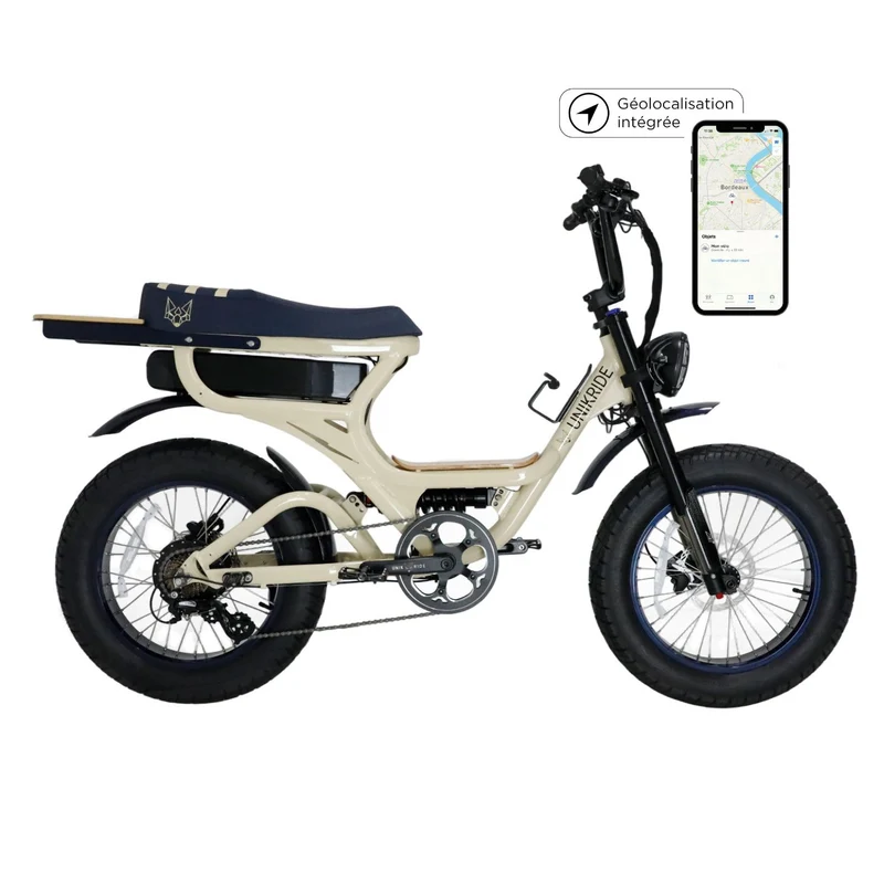 Fatstreet Xtrail Limited – Vélo électrique 2 places
