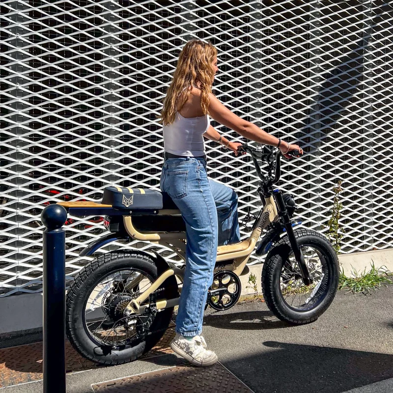 Fatstreet Xtrail Limited – Vélo électrique 2 places