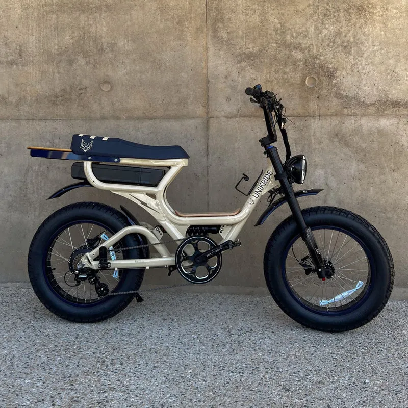 Fatstreet Xtrail Limited – Vélo électrique 2 places