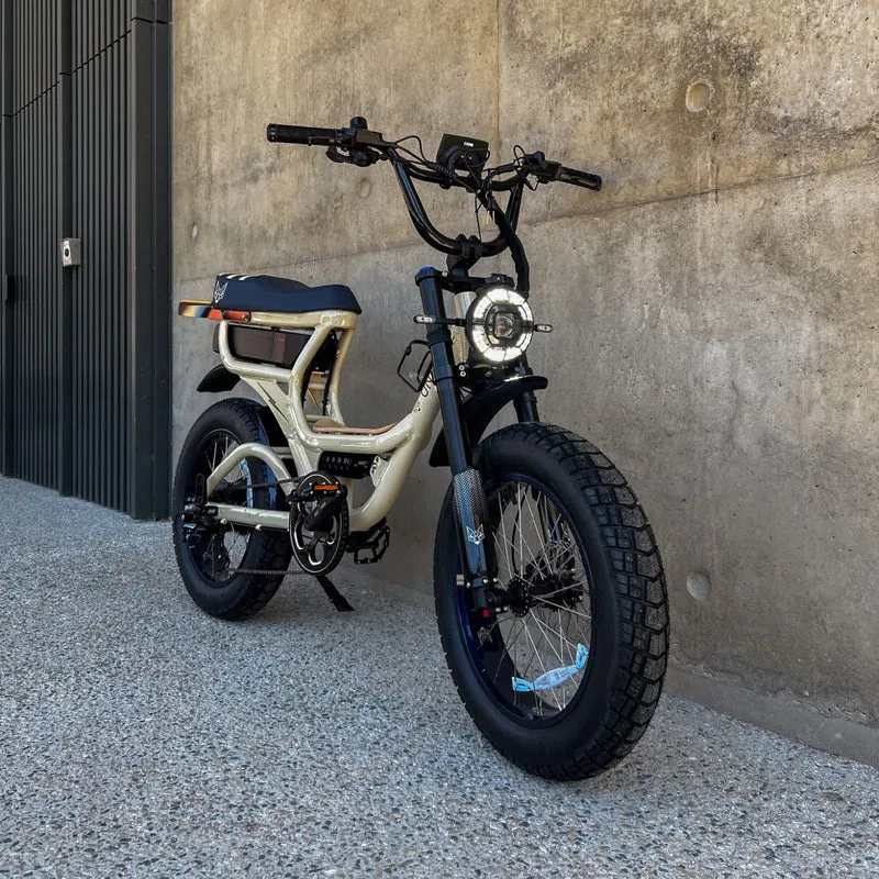 Fatstreet Xtrail Limited – Vélo électrique 2 places