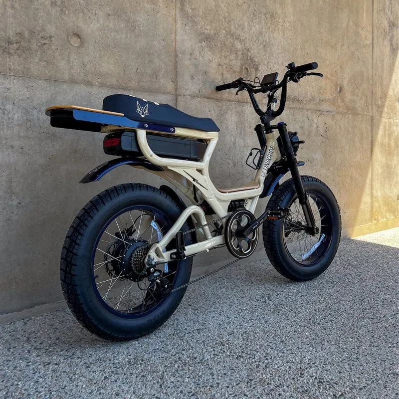 Fatstreet Xtrail Limited – Vélo électrique 2 places