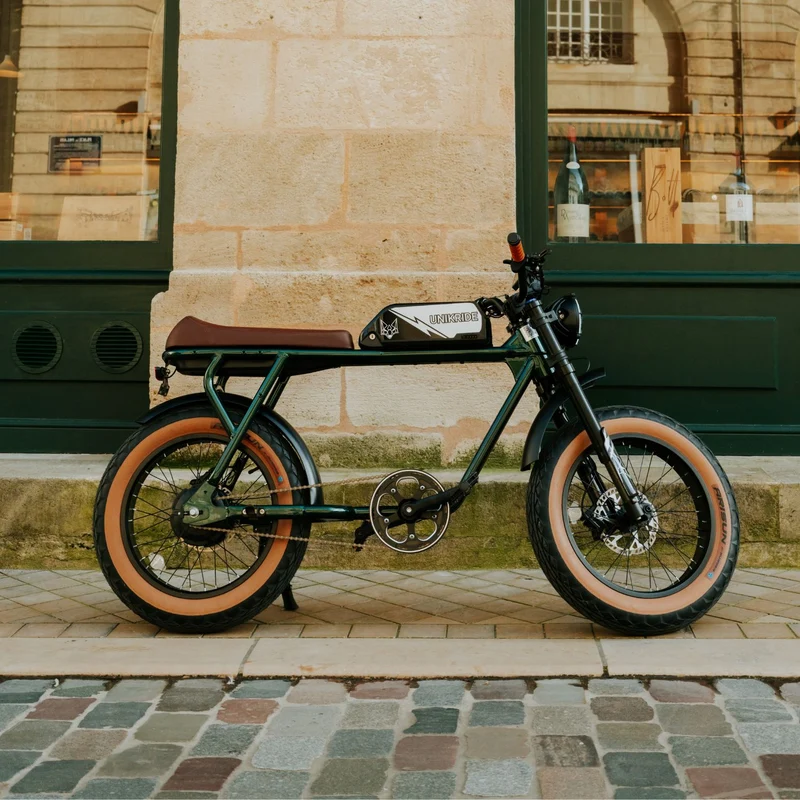 CITY S - Fatbike électrique 2 places