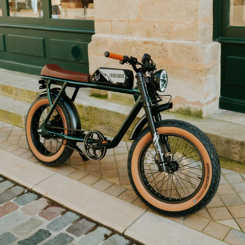 CITY S - Fatbike électrique 2 places