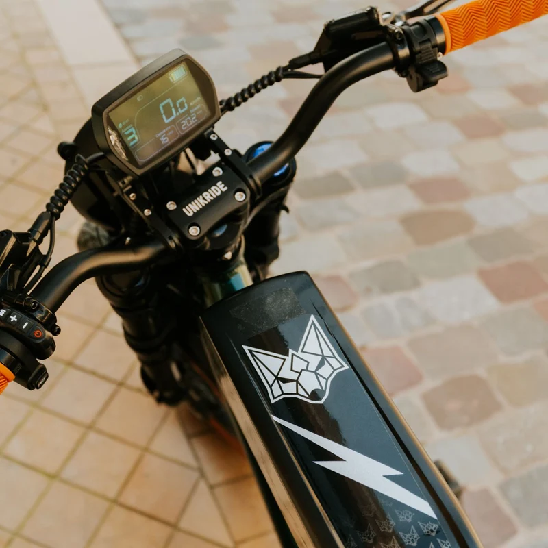 CITY S - Fatbike électrique 2 places