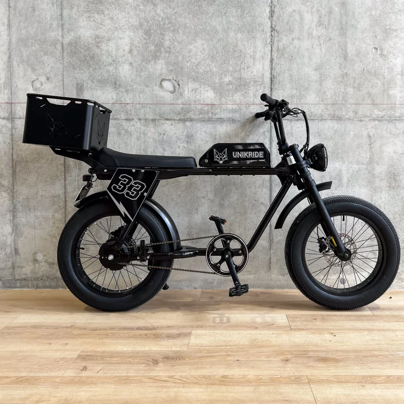 CITY XS - Fatbike 2 places