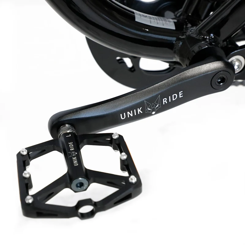Fatstreet XTrail sport - vélo fatbike électrique biplace