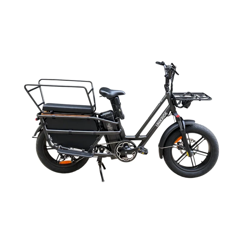 Vélo cargo électrique longtail