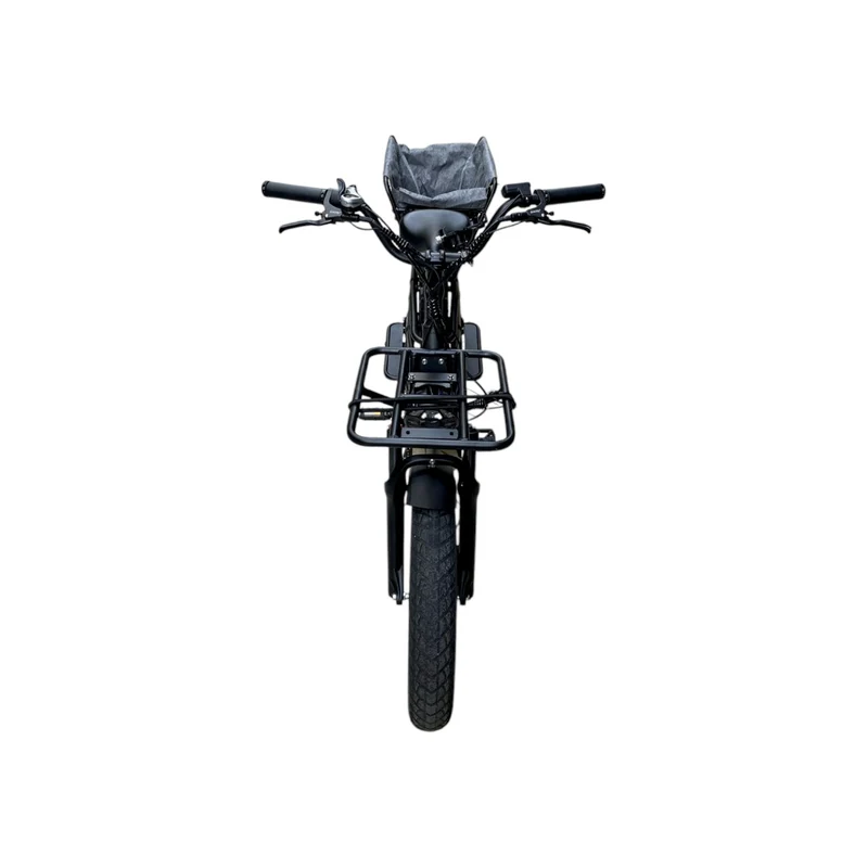 Vélo cargo électrique longtail