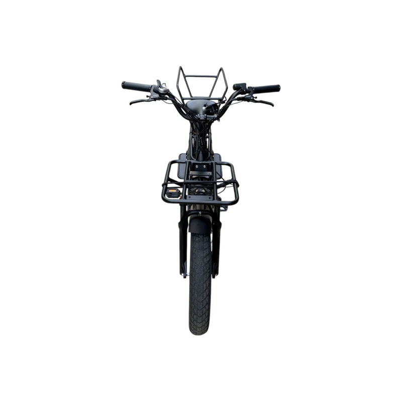 Vélo cargo électrique longtail