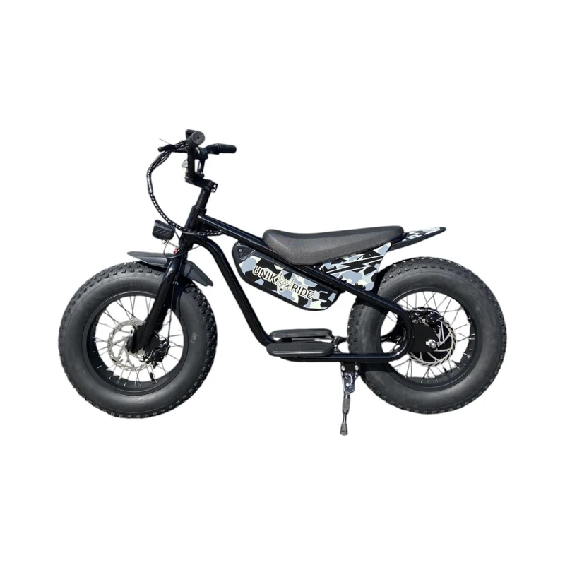 Draisienne électrique Fat Fun