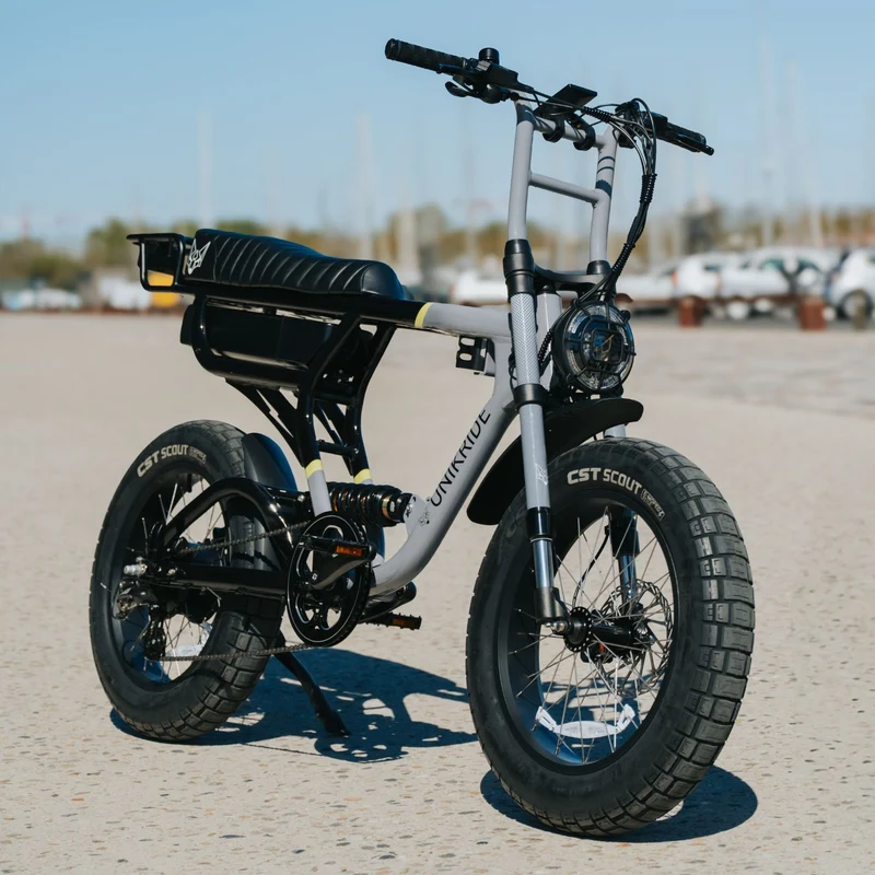 Fat Street Xtrail - Vélo biplace électrique