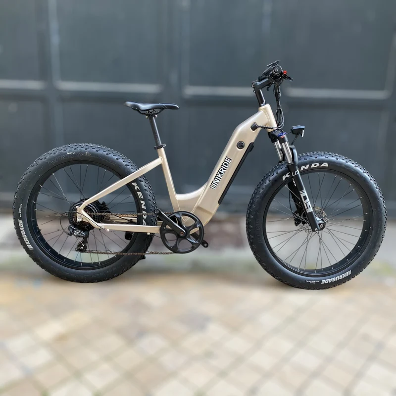 VTT Fatbike tout terrain d'occasion cadre ouvert