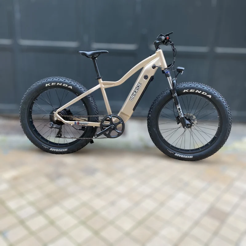 VTT Fatbike tout terrain d'occasion - Cadre fermé