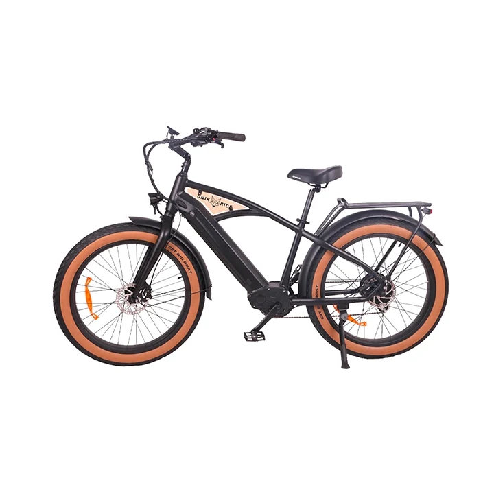 BEACH CRUISER CADRE FERMÉ