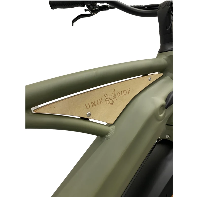 BEACH CRUISER CADRE FERMÉ