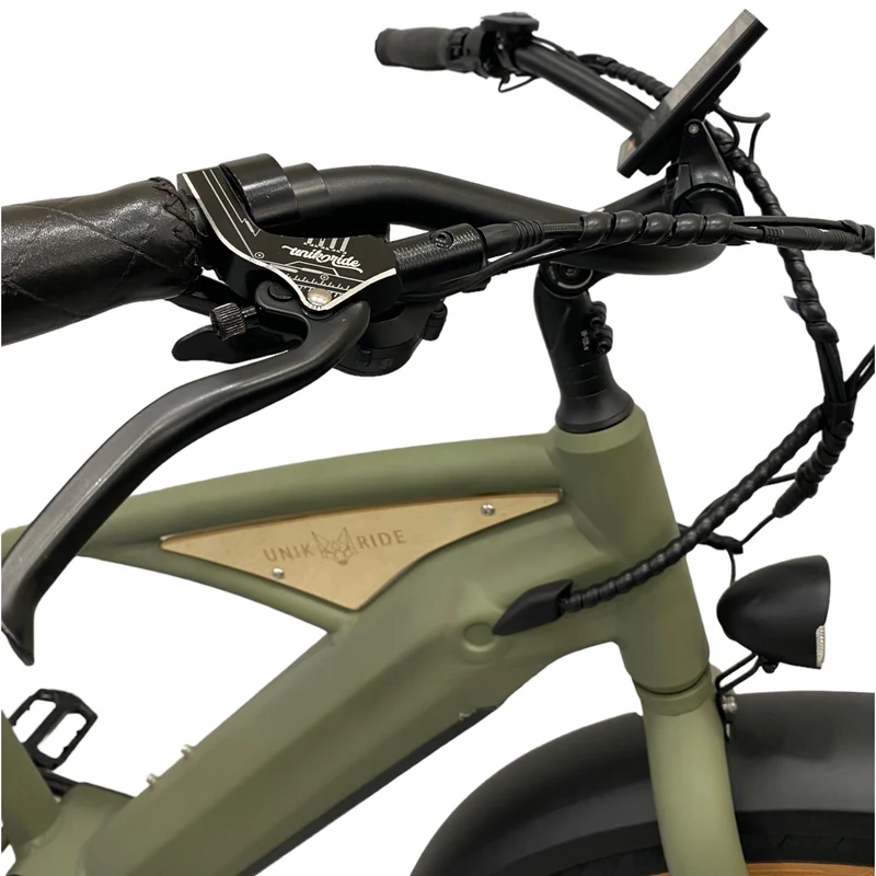 BEACH CRUISER CADRE FERMÉ