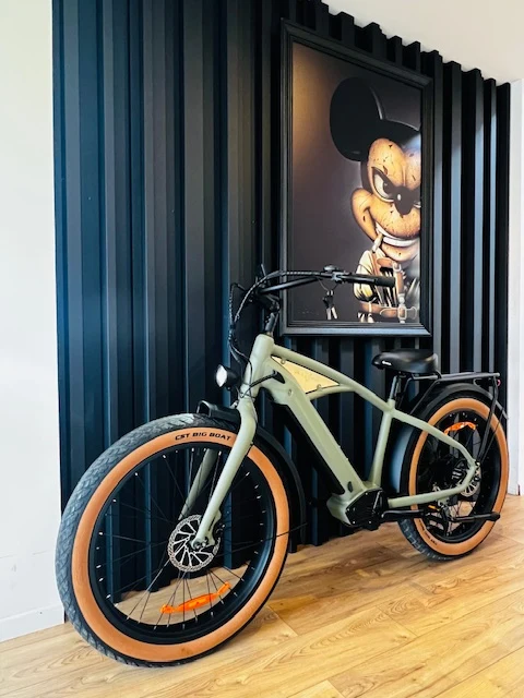 BEACH CRUISER CADRE FERMÉ