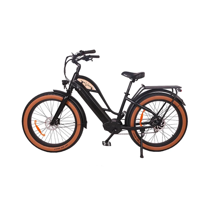 BEACH CRUISER CADRE OUVERT