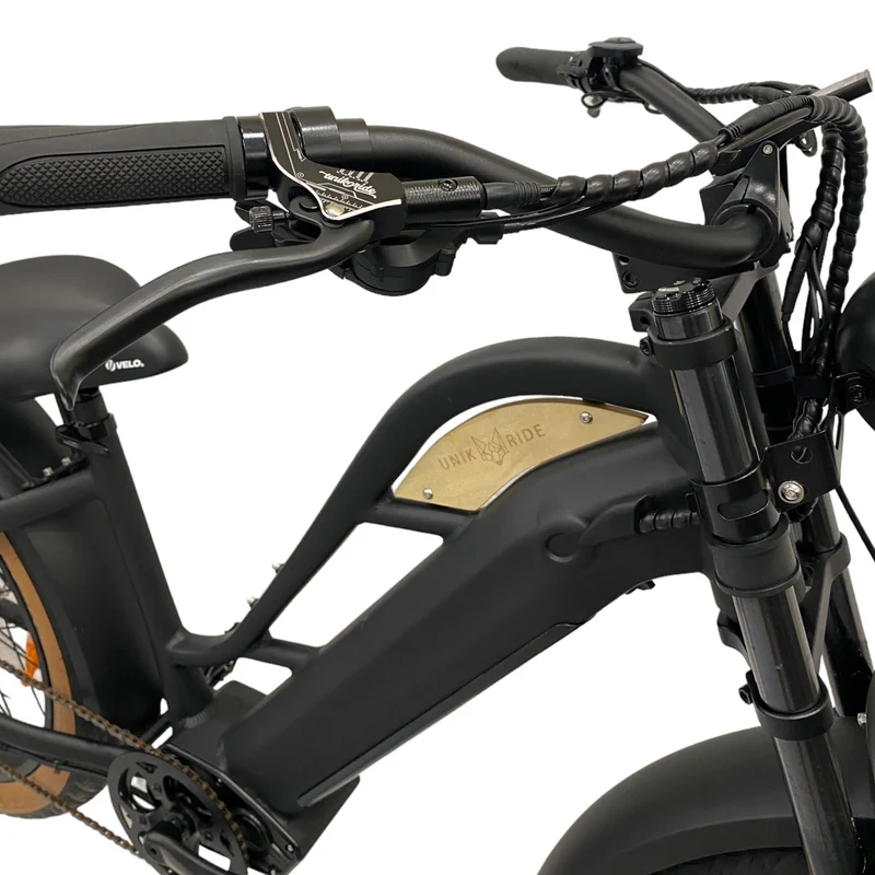 BEACH CRUISER CADRE OUVERT