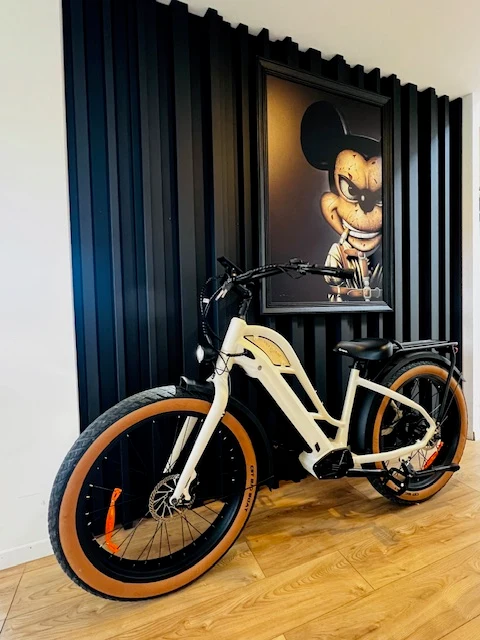 BEACH CRUISER CADRE OUVERT
