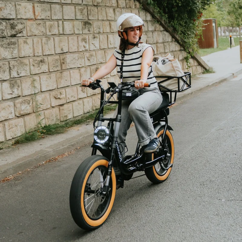 Fatstreet classic - Vélo électrique biplace cargo