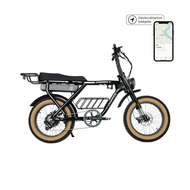 Fat street classic - Vélo cargo biplace