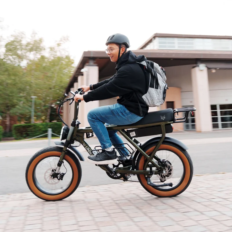 Fat street classic - Vélo cargo biplace