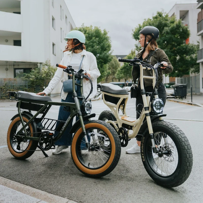 Fat street classic - Vélo cargo biplace