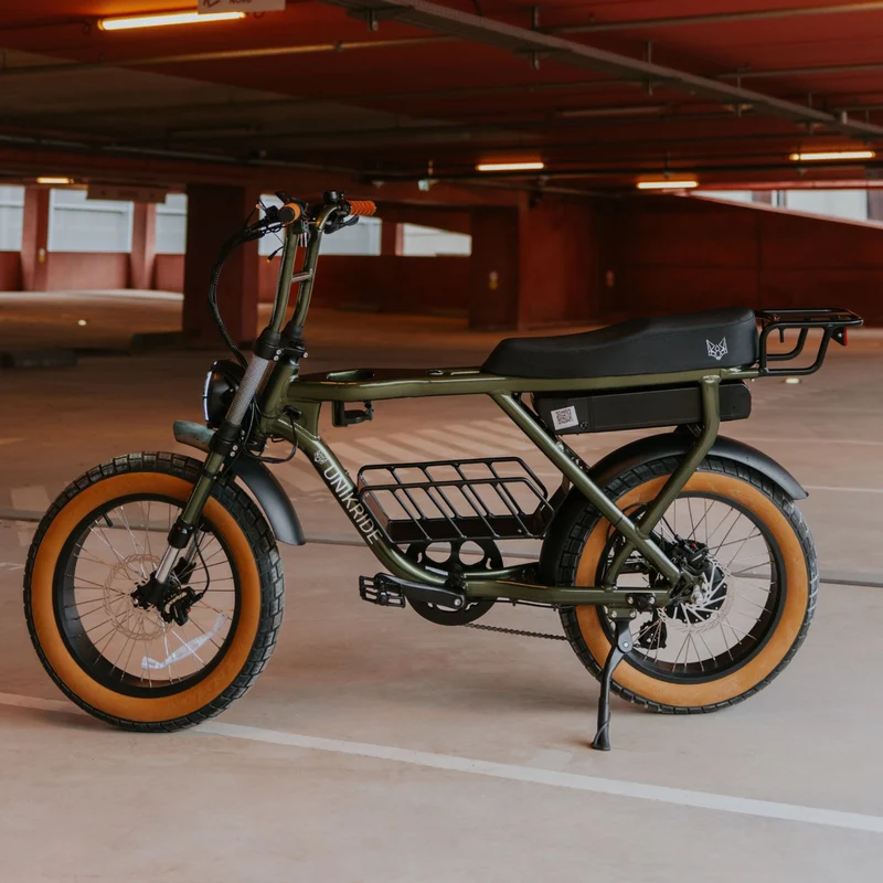 Fat street classic - Vélo cargo biplace