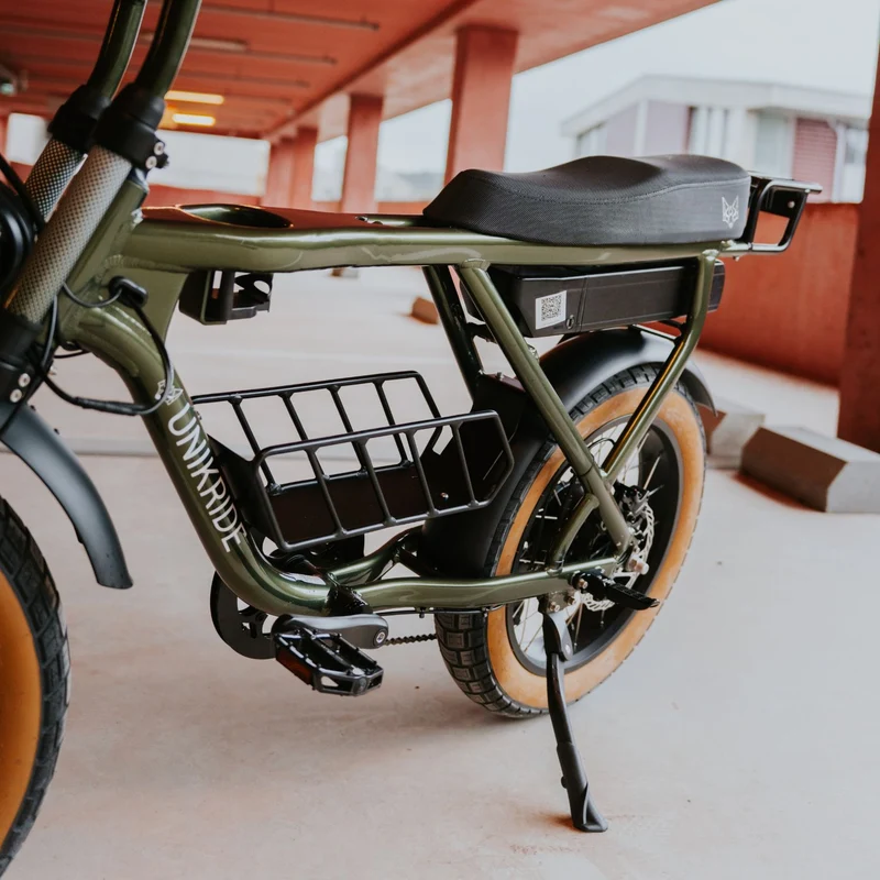 Fat street classic - Vélo cargo biplace