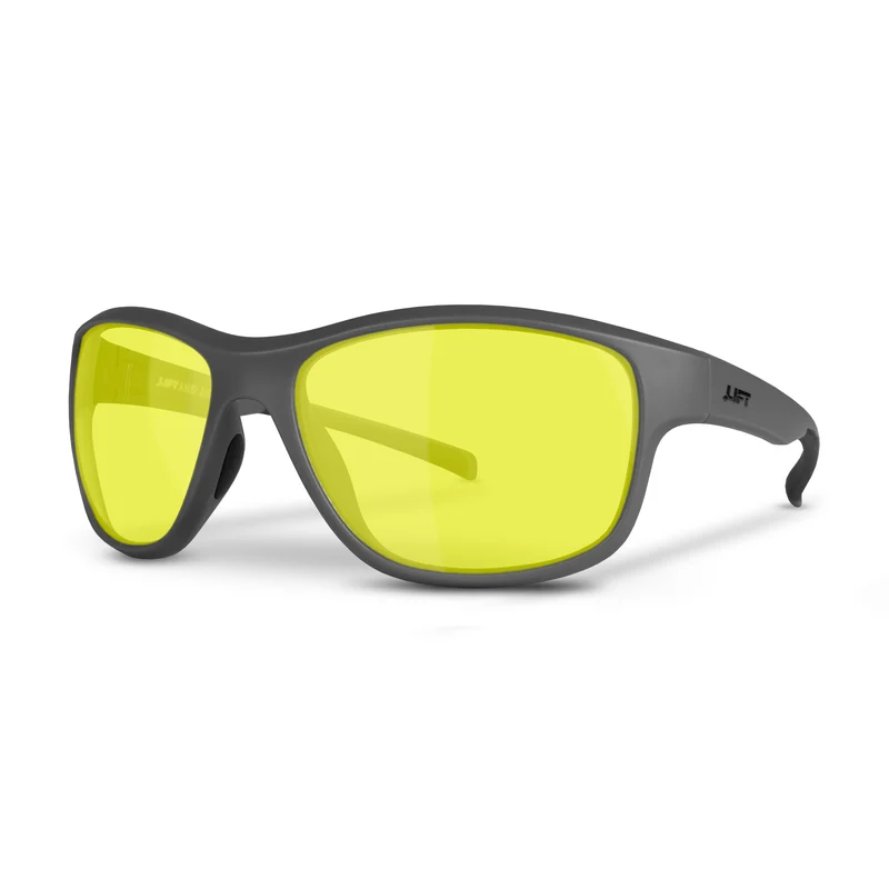 Lunettes de sécurité Delamo