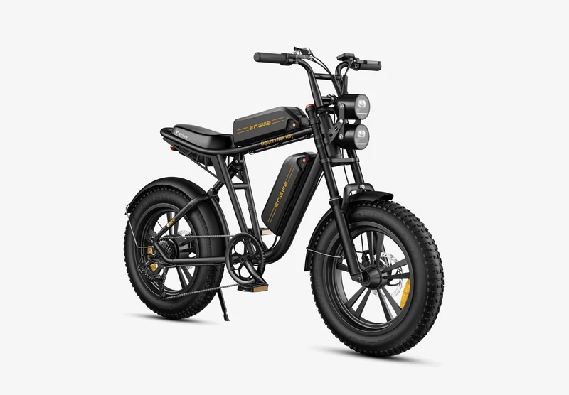ENGWE M20