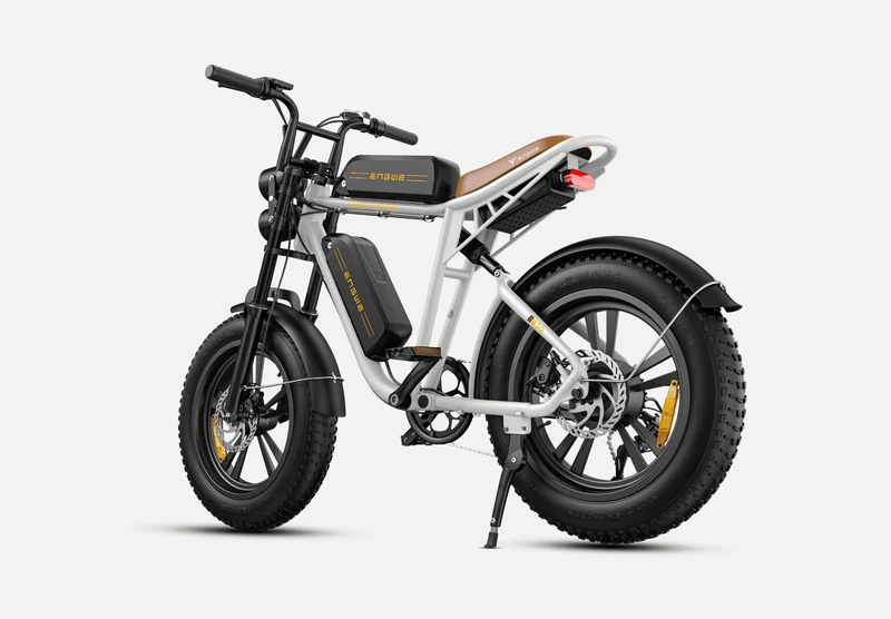 ENGWE M20