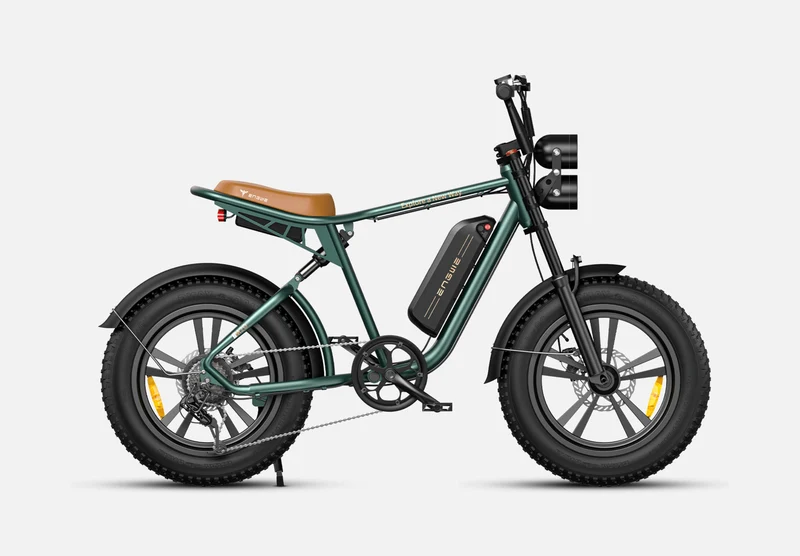 ENGWE M20