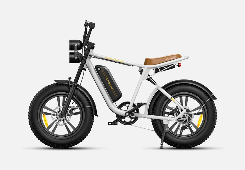 ENGWE M20