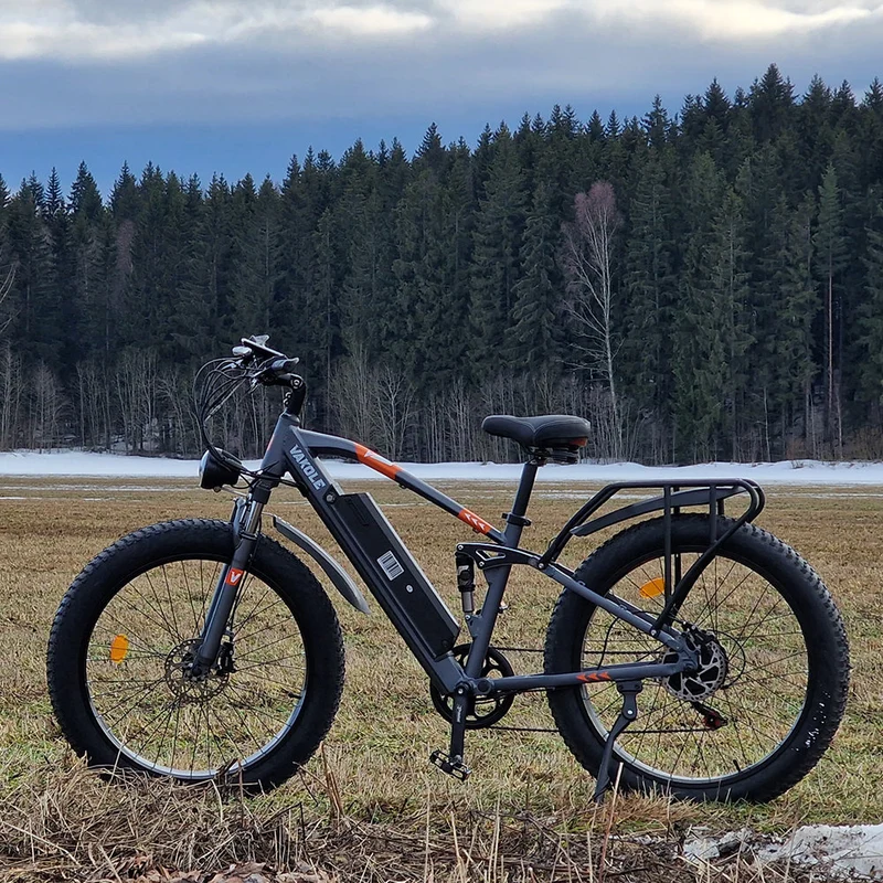 VAKOLE CO26 Electric Mountain Bike